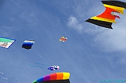 RIMINI 2012 - 229